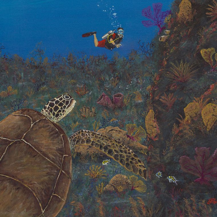 The-Turtle---Scuba-Crop